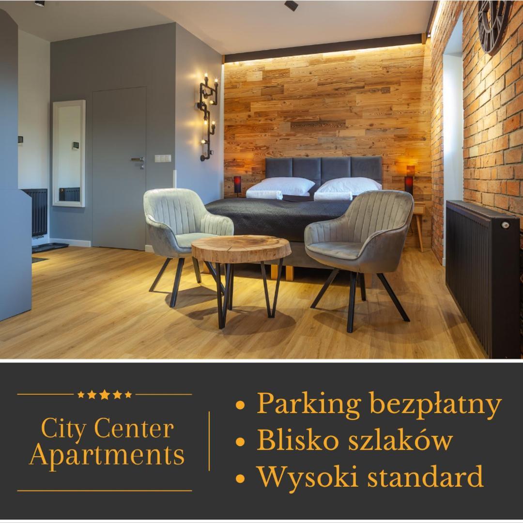 Apartment Center Modern Loft 2 - Bezplatny Parking Krynica Zdroj